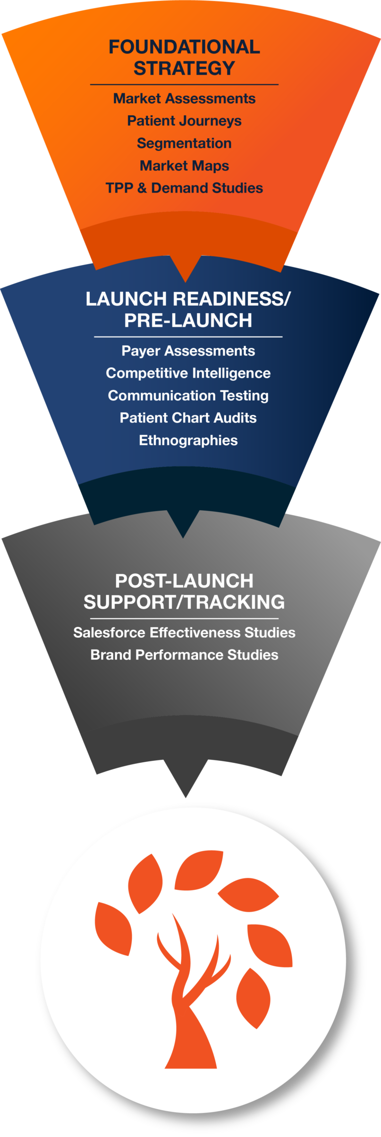 Magnolia Innovation's 3 Phases of Pharmaceutical Market Research & Product Launch Support