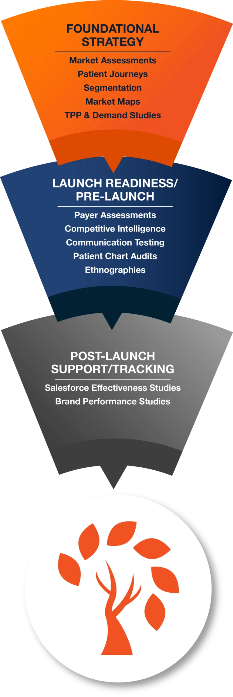 Magnolia Innovation's 3 Phases of Pharmaceutical Market Research & Product Launch Support