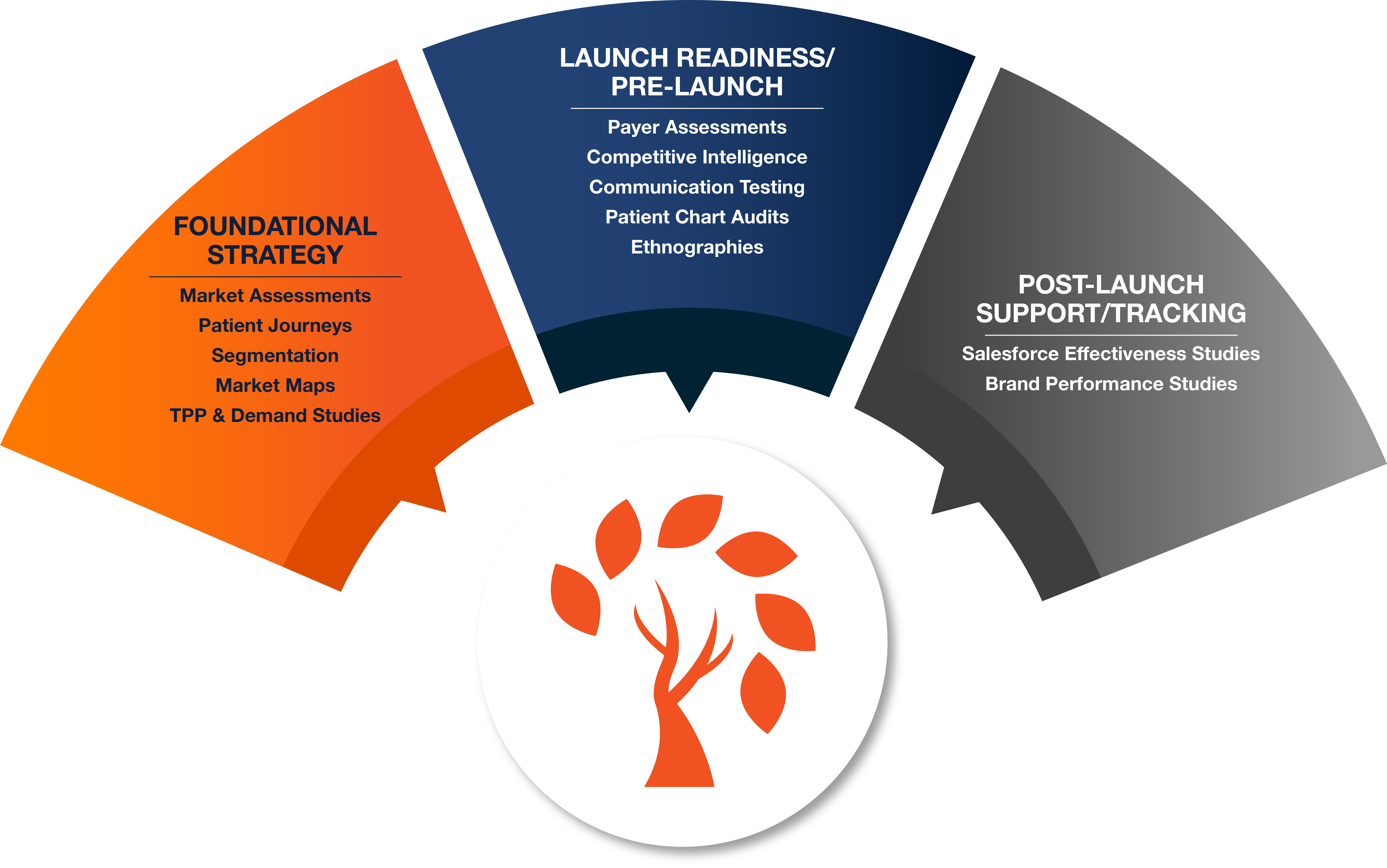 Pharmaceutical market research plan includes foundational strategy, product launch readiness, and post-launch support.
