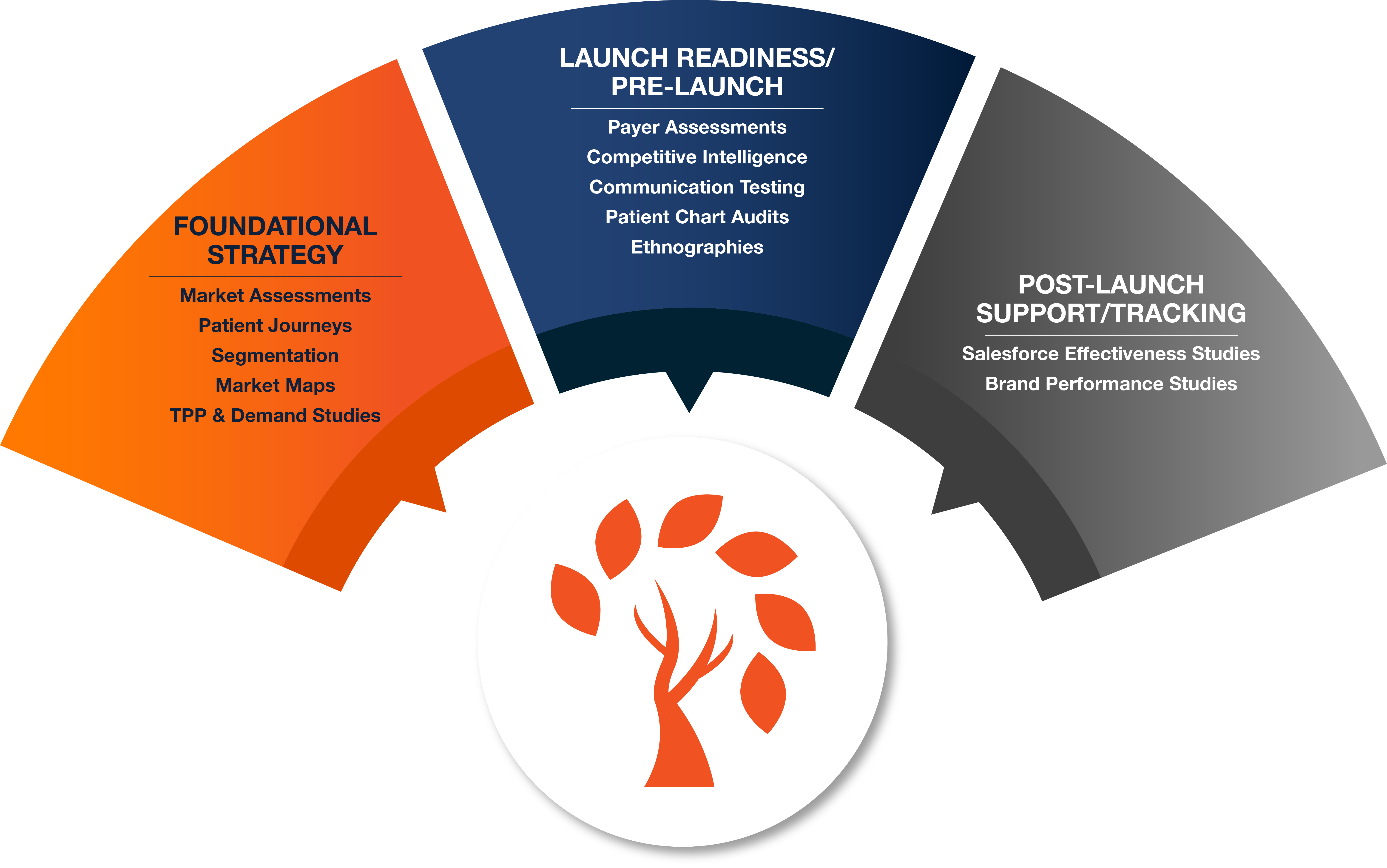 Pharmaceutical market research plan includes foundational strategy, product launch readiness, and post-launch support. 